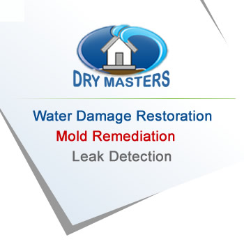 Mold cleanup Services in Boca Raton