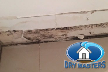 Mold removal in Boca Raton